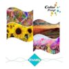 Paquete de 6 cartuchos de tinta compatibles con ColorPrint_5