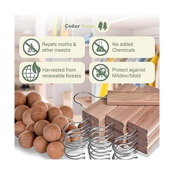 Bloques de cedro Hyde para almacenamiento de ropa_3