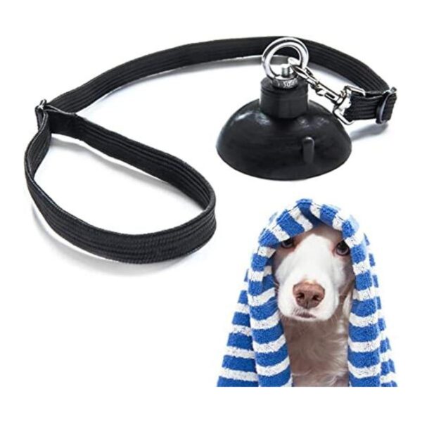 Correa de baño para perros con ventosa para ducha y aseo_1