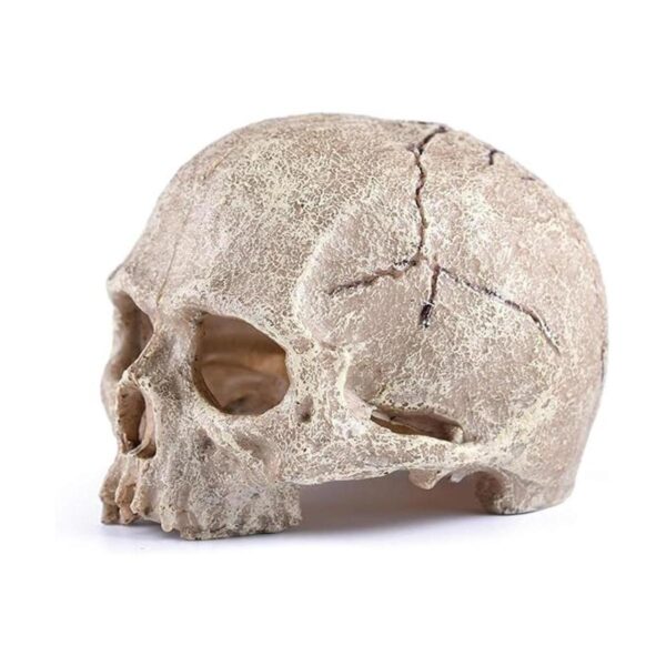 Carefree Fish Aquarium Decoration Skull Fish Tank Head_2