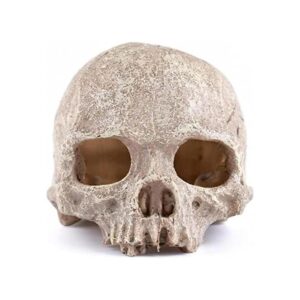 Carefree Fish Aquarium Decoration Skull Fish Tank Head_1