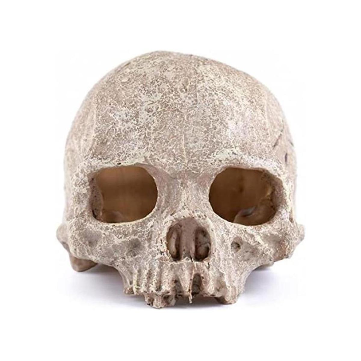Carefree Fish Aquarium Decoration Skull Fish Tank Head