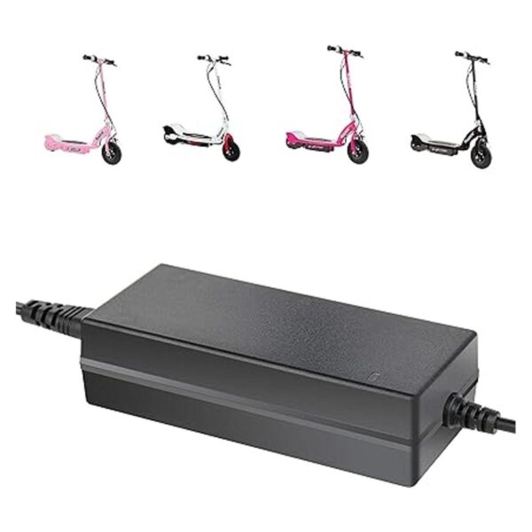 Cargador de batería de 24 V 36 W estándar de 3 puntas en_3