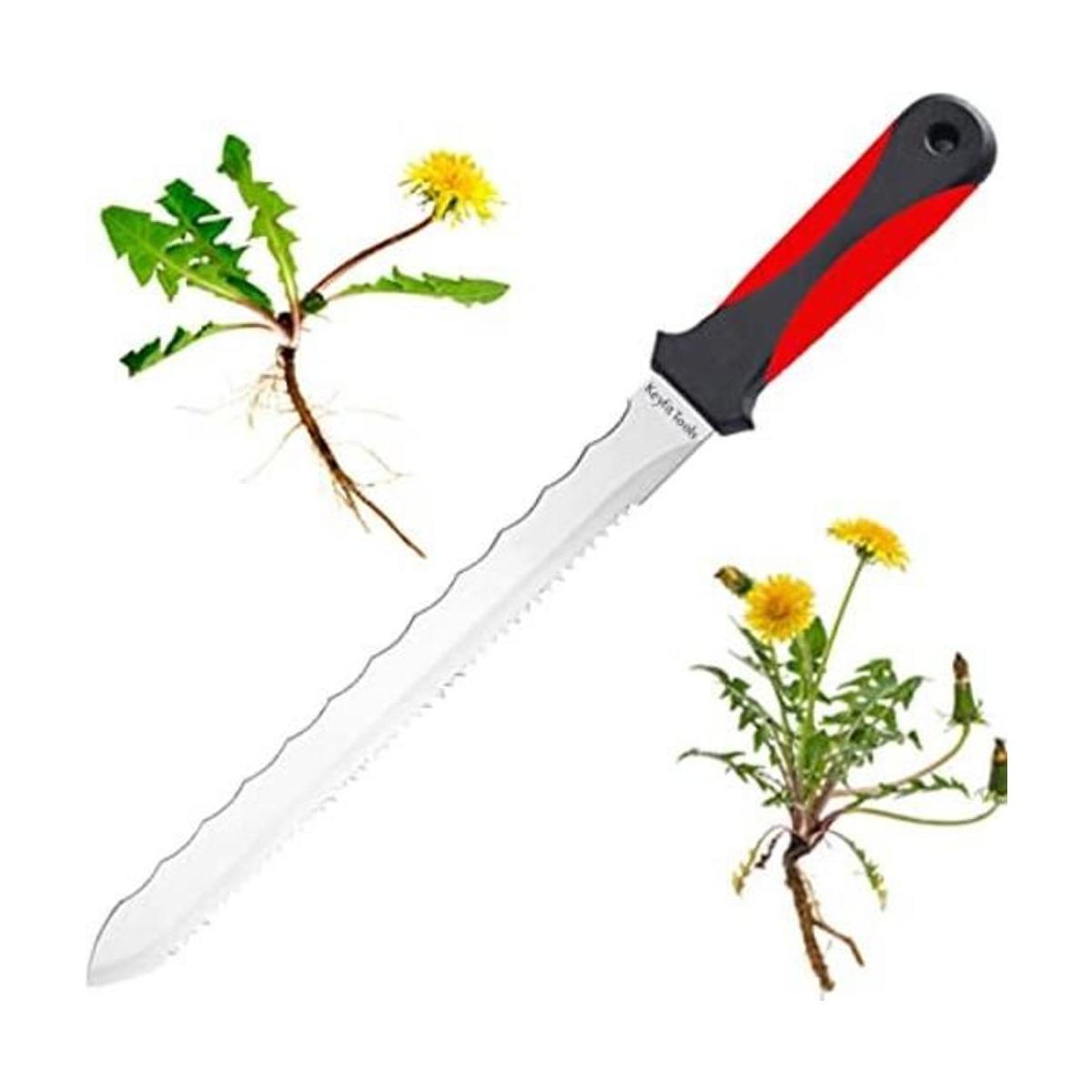 Keyfit Tools Cuchillo para deshierba para raices