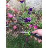Garden Guru Rastrillo de mano de acero inoxidable con