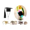 Pequeñas gorras de graduación de animales pequeños con