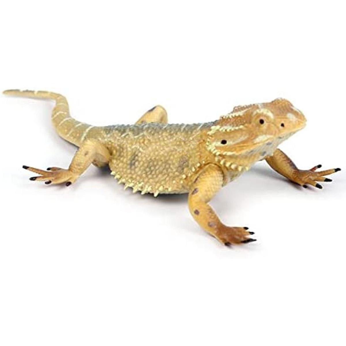 Rich Boxer Figura de lagarto realista de plástico lagarto