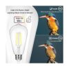 Paquete de 4 bombillas LED Edison vintage ST64 de 8 W