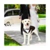 Traje de esmoquin formal para perros medianos y grandes