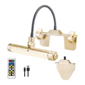 BIGMONAT Luces de imagen inalámbricas para pinturas luz