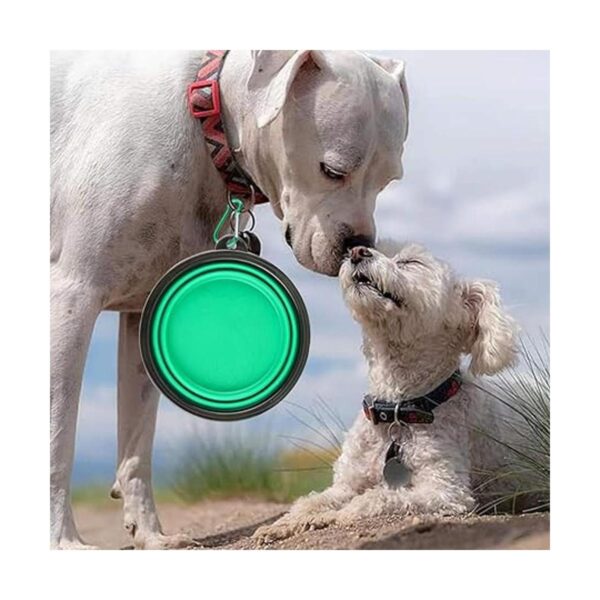 Cuencos plegables para perros gatos de viaje portátil