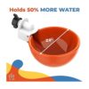 Paquete de 5 tazas grandes automáticas de pollo Lil_2