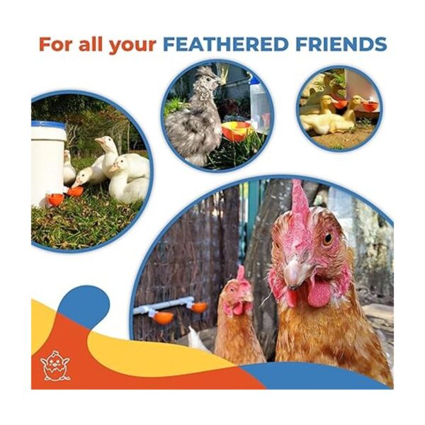 Paquete de 5 tazas grandes automáticas de pollo Lil_6