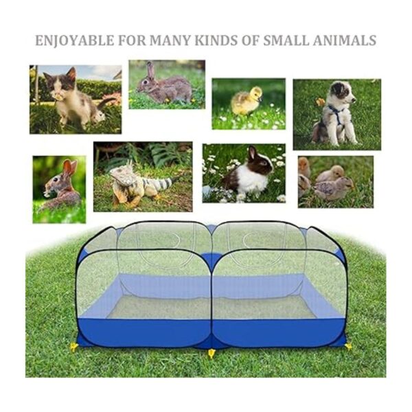 GABraden Portal de animales pequeños para correr