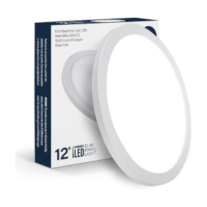 Lámpara de techo LED regulable de 12 pulgadas con montaje_1
