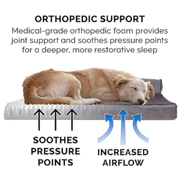 Cama ortopédica para mascotas para perros y gatos Sofá_5