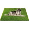Hierba artificial alfombra de césped profesional para