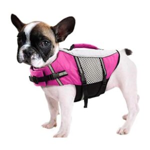 Queenmore Chaleco salvavidas para perro ligero y