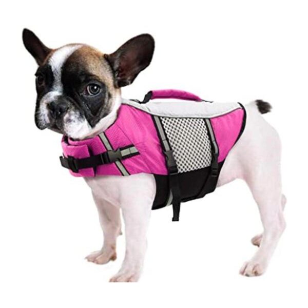Queenmore Chaleco salvavidas para perro ligero y