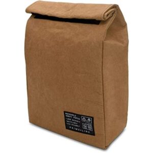 Bolsa de almuerzo aislada pequeñas bolsas de almuerzo