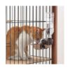 Richell Estación de rehidratación para mascotas recarga