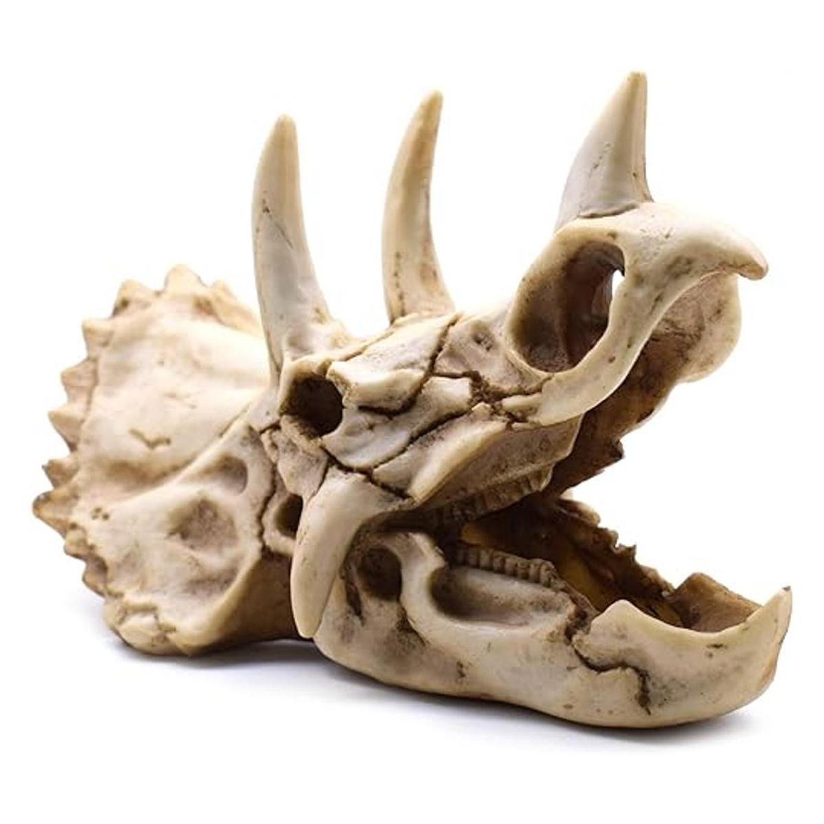 Esqueleto de dinosaurio de resina Triceratops imitación
