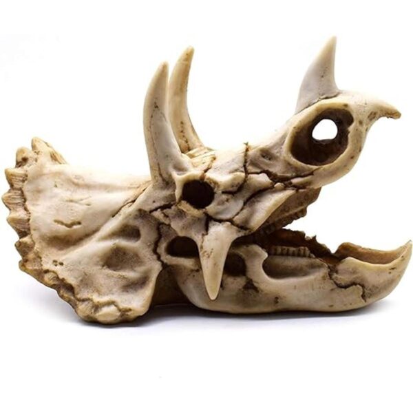 Esqueleto de dinosaurio de resina Triceratops imitación_2