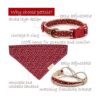 Pettsie Collar de perro a juego bandana y pulsera de_3
