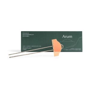 Arum Etiquetas para plantas extra grandes en caja de_1