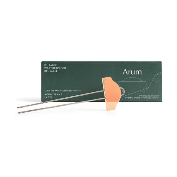 Arum Etiquetas para plantas extra grandes en caja de_1