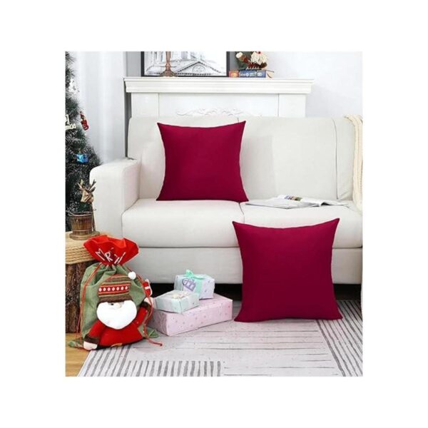 Jeneoo Fundas de almohada de terciopelo suave para sofá