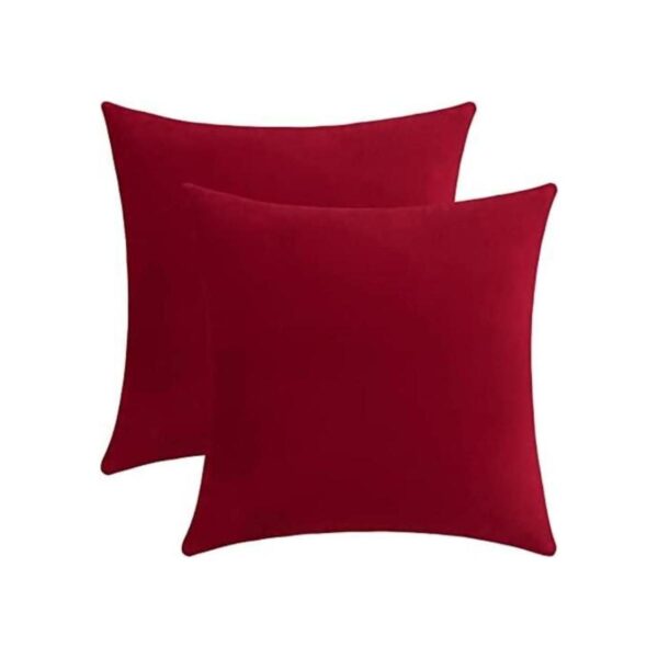 Jeneoo Fundas de almohada de terciopelo suave para sofá