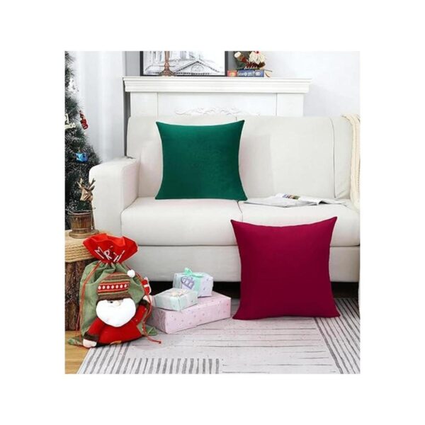 Jeneoo Fundas de almohada de terciopelo suave para sofá