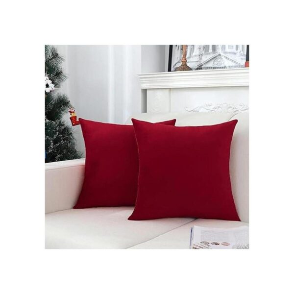 Jeneoo Fundas de almohada de terciopelo suave para sofá
