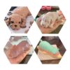 JJMG Molde de silicona 3D Shar Pei perro y oso polar_3