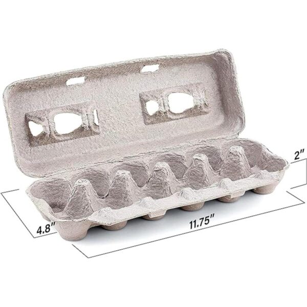 MT Products Cajas de huevos de pulpa natural en blanco con_3