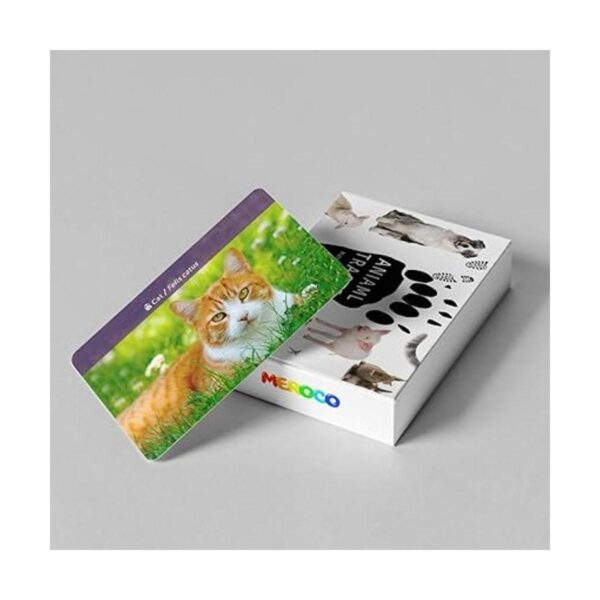 Juego de pistas de animales para niños de 4 a 8 años_6