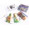 Juego de pistas de animales para niños de 4 a 8 años_1