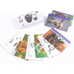 Juego de pistas de animales para niños de 4 a 8 años_1