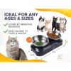 KatSupreme Cuencos inclinados para comida para gatos_4