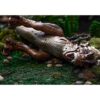 Greenbo Juguetes de dinosaurio Jurassic T Rex Battle_4