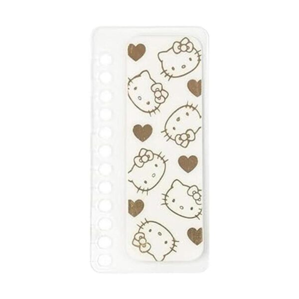 Hello Kitty X Erin Condren Accesorios de diseñador mini_3