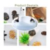 PINVNBY Tanque de tortuga de plástico para reptiles y