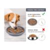 Pecute Cuenco para perro con alimentador lento y evita la_3