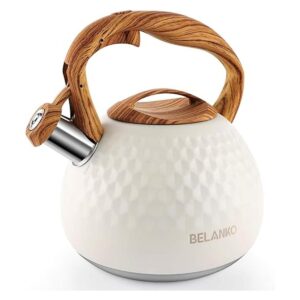 Tetera BELANKO de 2.7 cuartos de galón para estufa mango_1