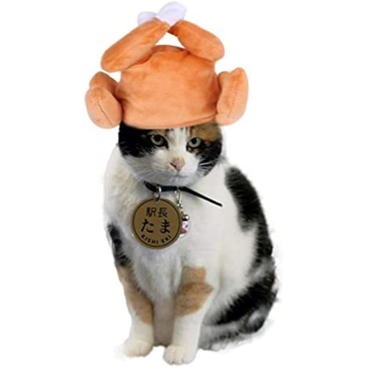 Disfraz de gato de Halloween de Acción de Gracias