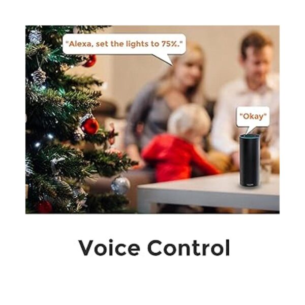 El conector WiFi para exteriores funciona con Alexa_2