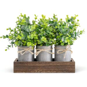 Dahey Macetas decorativas de metal galvanizado para_1