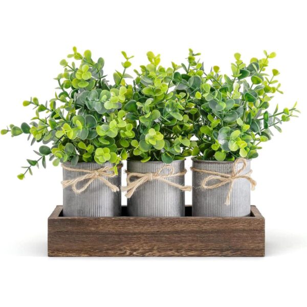 Dahey Macetas decorativas de metal galvanizado para_1