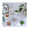 CQURE Succulents Plants Artificial Set of 4 Mini